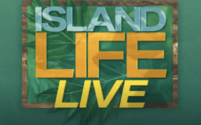 Island Life Live, KITV: Project Shaka Movement